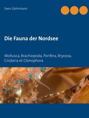 cover image of Mollusca, Brachiopoda, Porifera, Bryozoa, Cnidaria et Ctenophora